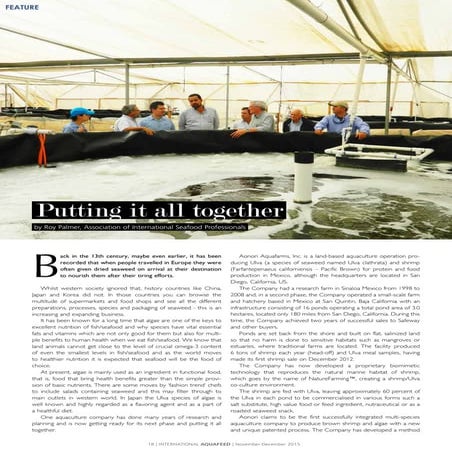 Putting it all together