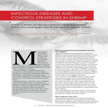 Infectious diseases and control strategies in shrimp | PDF