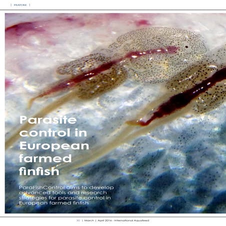 Parasite control in European farmed  finfish
