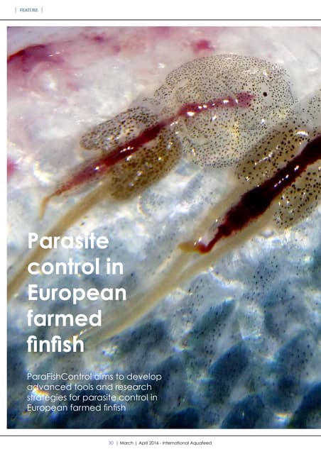 Safety on Aquaculture Farms | PDF