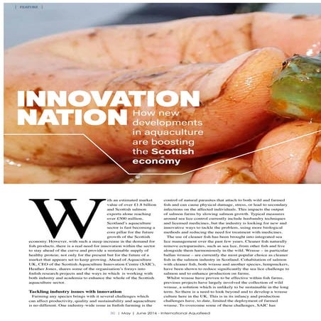 Innovation nation - How new developments in aquaculture are boosting the Scot...