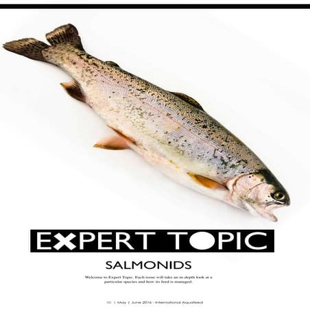 EXPERT TOPIC: Salmonids