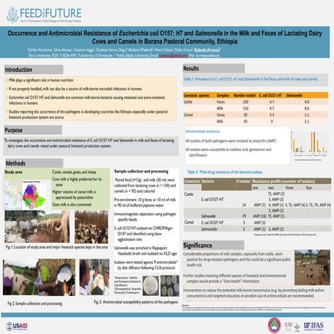 Occurrence and antimicrobial resistance of Escherichia coli O157: H7 and Salm...