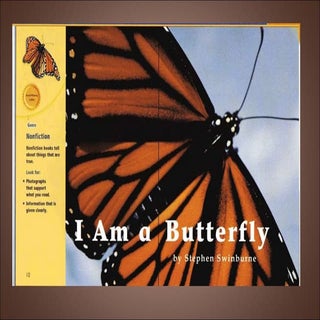 I Am A Butterfly Slideshare
