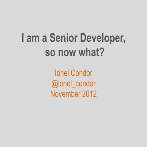 I am a Senior Developer, so now what? 