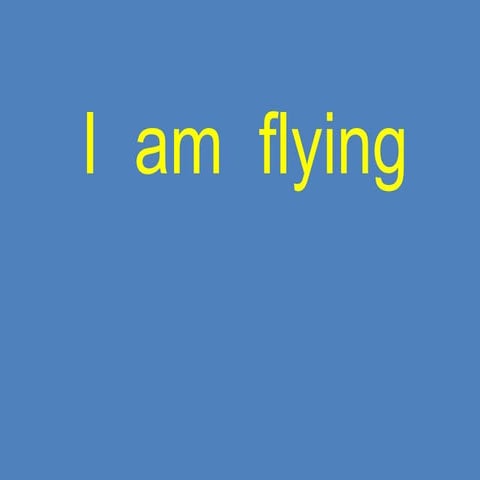 I  Am  Flying