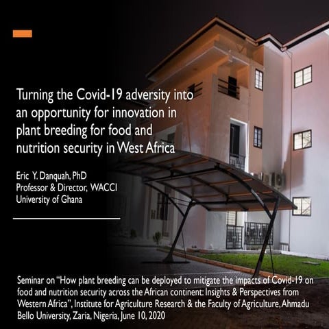 How plant breeding can be deployed to mitigate the impacts of COVID-19 on foo...