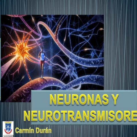 Neuronas y neurotransmisores