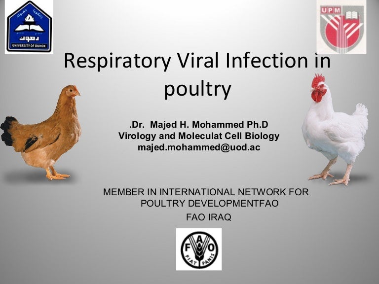 Viral Respiratory Disease
