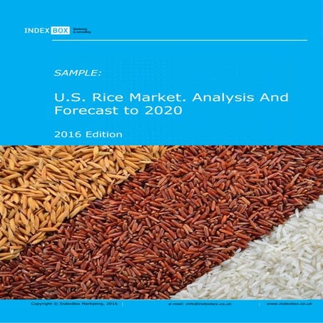 Best Rice Distribution in the USA in 2024.docx