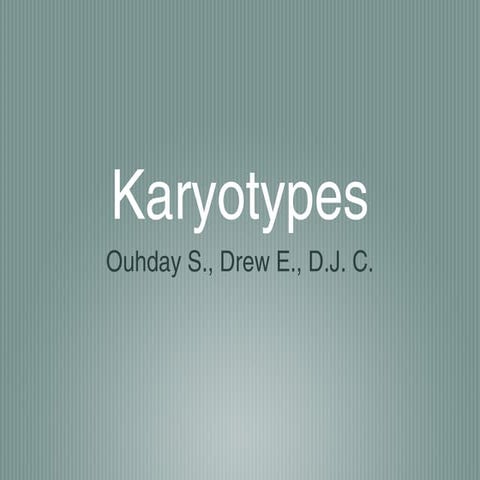 IB Bio Karyotypes