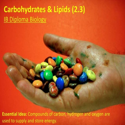 IB Biology 2.3 Slides: Lipids & Carbohydrates