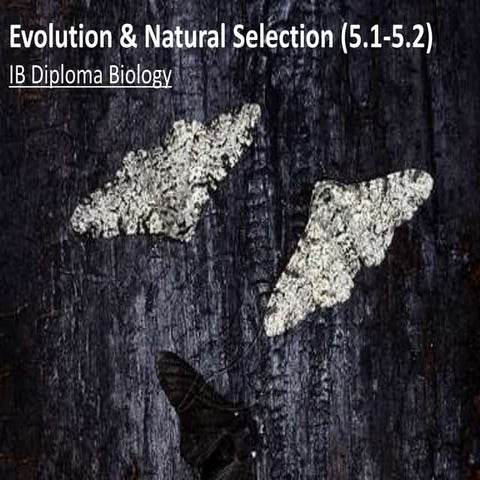 IB Biology 5.1-5.2 Slides: Evolution & Natural Selection