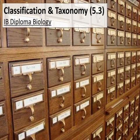 IB Biology 5.3 Slides: Classification & Taxonomy