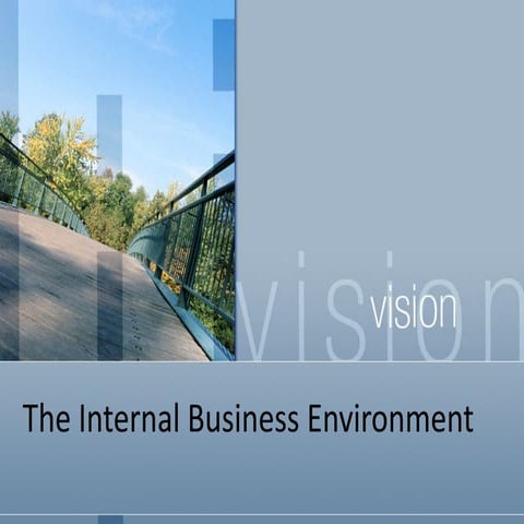 Internal Business Environment