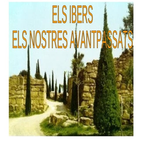 ELS IBERS