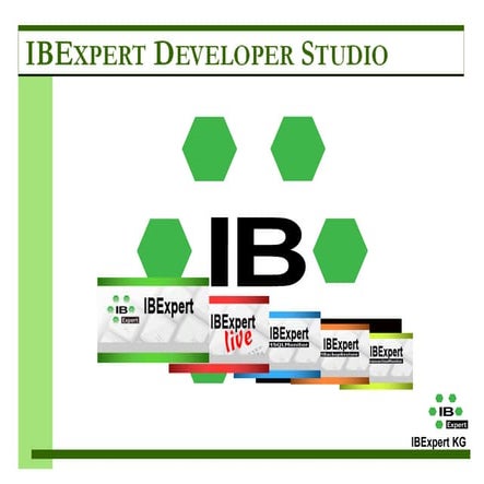 IBExpert 13 Min Film