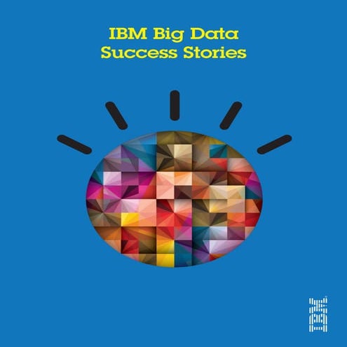 IBM Big Data  Success Stories