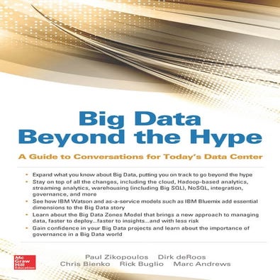 IBM Big Data Beyond the Hype