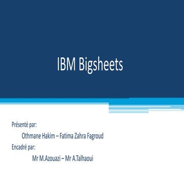 Ibm bigsheets