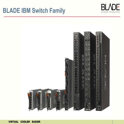 IBM BladeCenter Switches