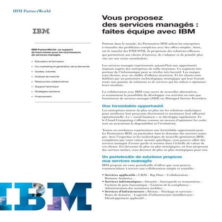 Managed Services Provider Programm by IBM