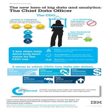 Role of the Chief Data Office Infographic by IBM