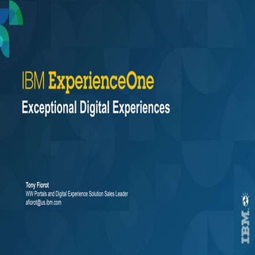 IBM ExperienceOne for E -Commerce
