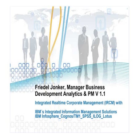 IBM Integrated Realtime Corporate Management 2010