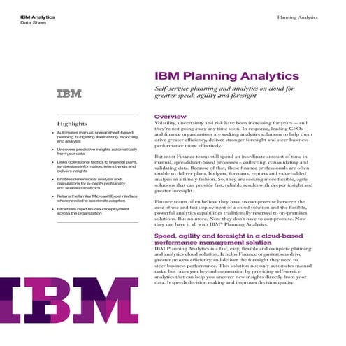 IBM Planning Analytics