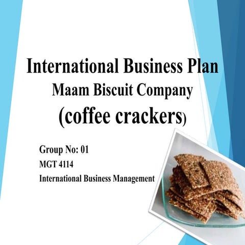 International business expansion plan (RUSL)