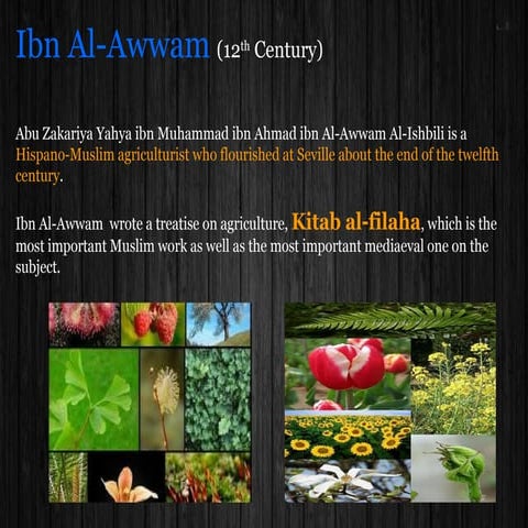 Ibn Al Awwam (12th century Muslim Botanist) PPT