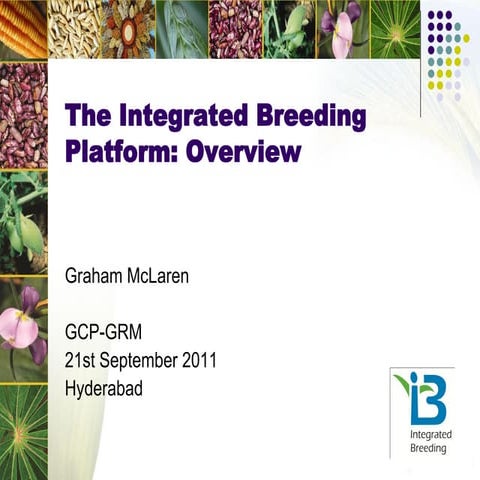 GRM 2011: The Integrated Breeding Platform tools and services