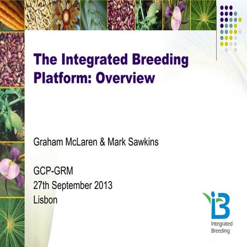 GRM 2013: The Integrated Breeding Platform: Overview -- G McLaren and M Sawkins