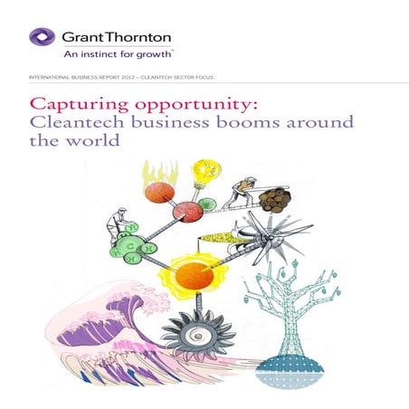 IBR 2012 Cleantech sector report