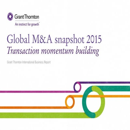 Global M&A snapshot (IBR 2015)