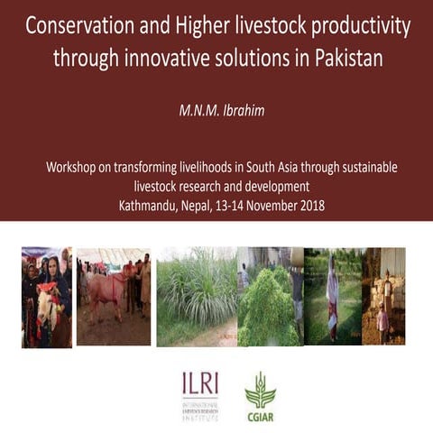 Conservation and Higher livestock productivity through innovative solutions i...