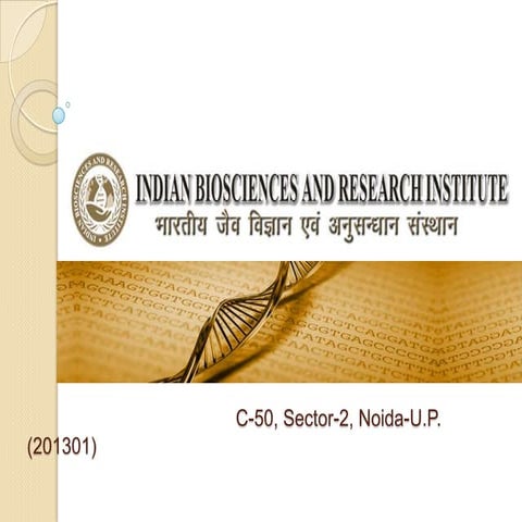 Ibri presentation
