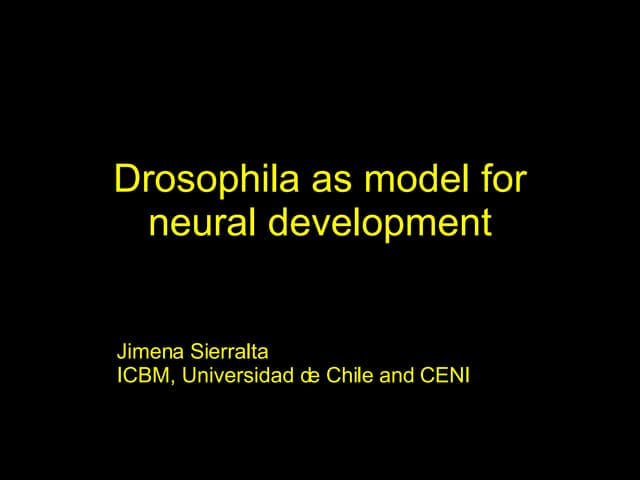 Drosophila como modelo