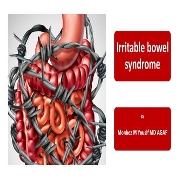 Irritable Bowel Syndrome: An Update in Pathophysiology and Management 