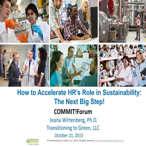 How to Accelerate HR's Role in Sustainability: The Next Big Step!