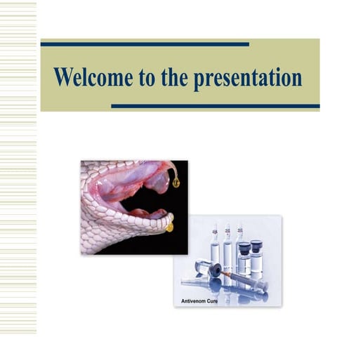 Business Proposal- Exporting Snake Venom as an  Anti-Venom Cure
