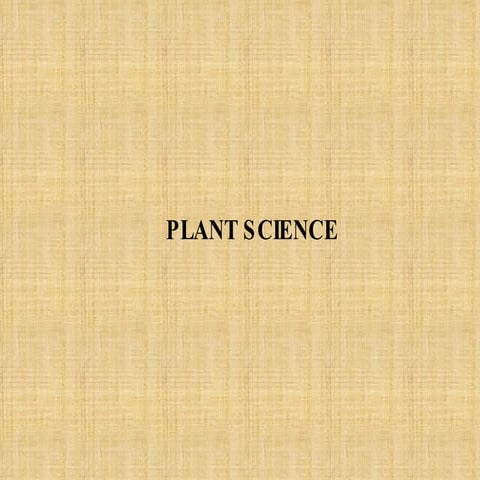 Plants PowerPoint