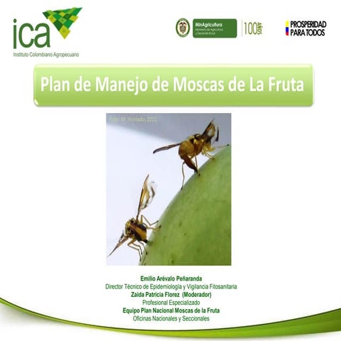 ICA-Moscas-de-las-Frutas.pdf