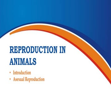 ICA_9B Reproduction_In_Animals.pptx