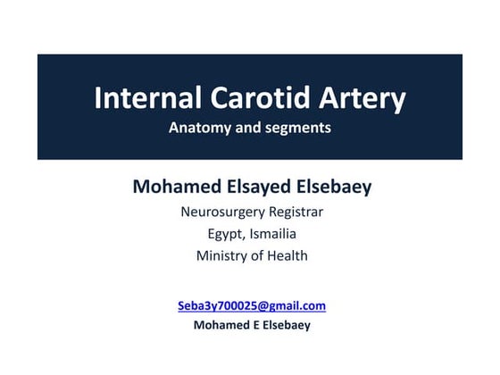 Segments of internal carotid artery | PPTX | Ear, Nose and Throat ...