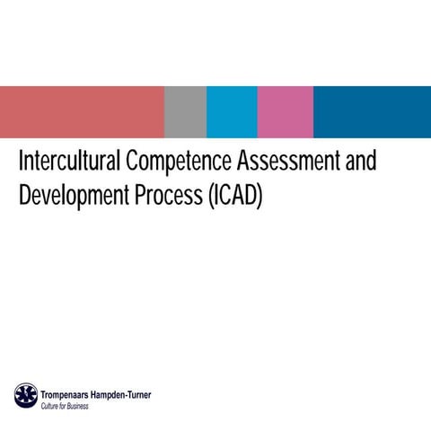 Intercultural Competence Assessment and Development process (ICAD)