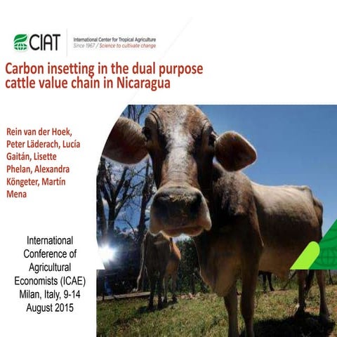 Carbon insetting in the dual purpose cattle value chain in Nicaragua