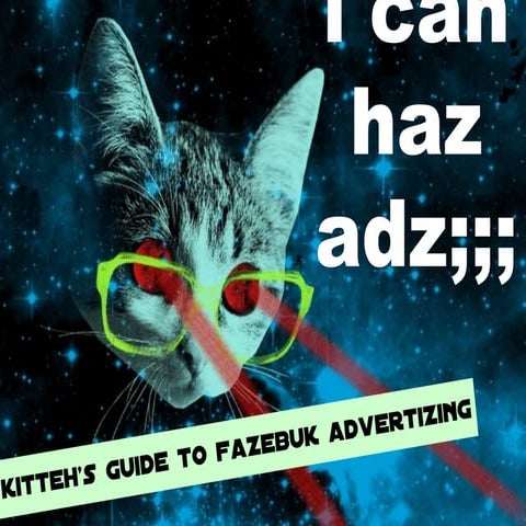 I can haz ads: kitteh's guide tu fazebuk advertizing