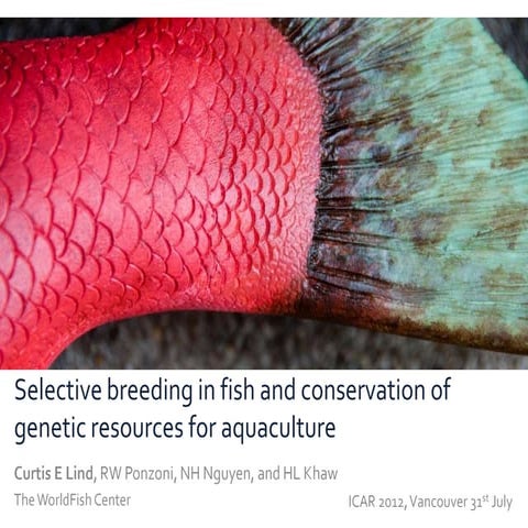 Selective breeding in fish and conservation of genetic resources for aquaculture